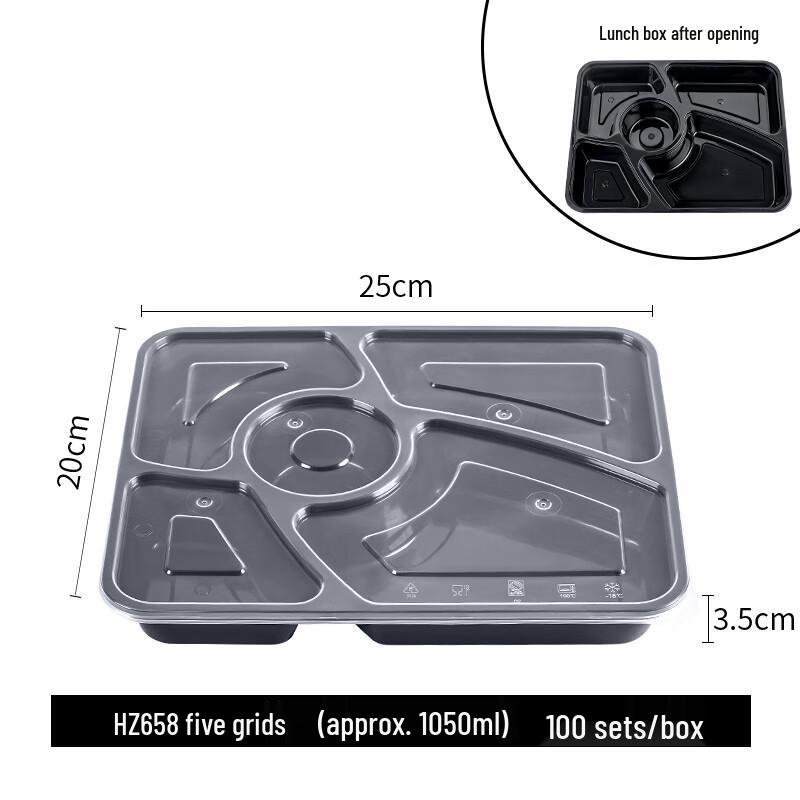 Disposable Rectangular Lunch Box