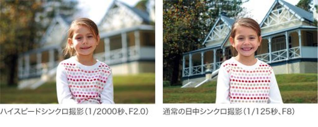 Sony Flash HVL-F43AM