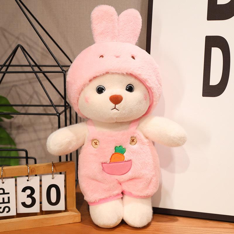 Transform Into A Bear Doll Plush Toy Cute Dressing And Hugging Bear Doll Rag Doll Gift