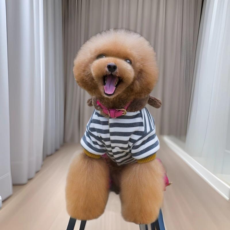 Autumn and winter teddy pet warm thickened fleece four-legged cotton coat dog clothes with hat four-legged ji pet winter