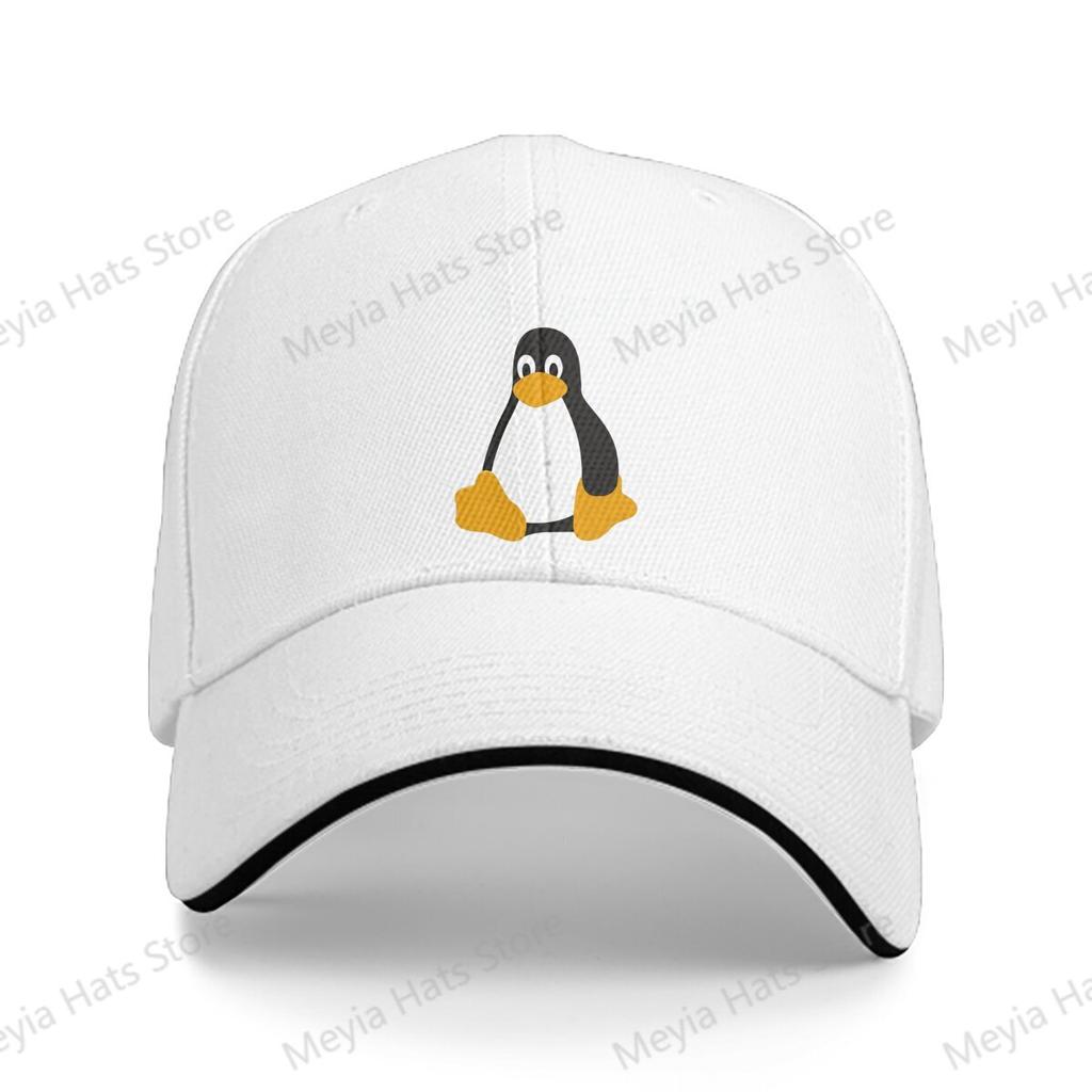 linux Sudo Apt Get Install Coffee Kali Linux Root Programmer Baseball Cap Unisex Hats Women Visor Cycling Snapback Caps