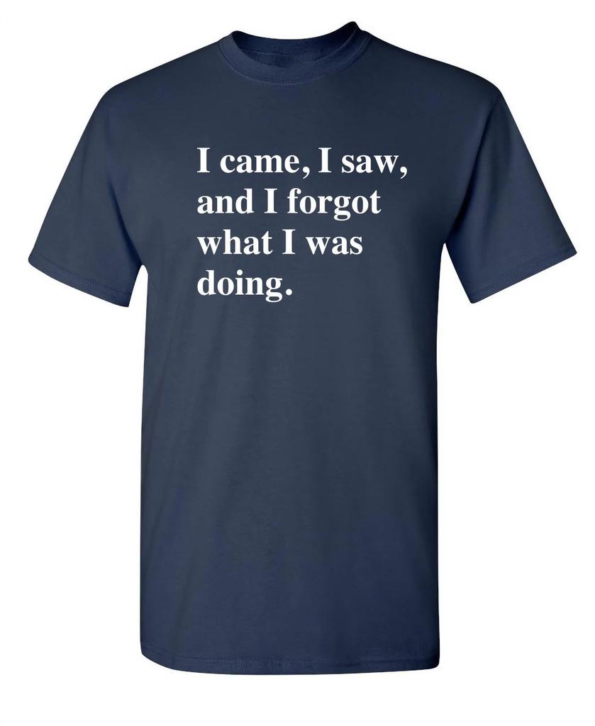 I Came I Saw I Forgot What I Was Doing Funny Tee Summer 100 Cotton Round Neck Short Sleeve Casual Fashion Tshirt Top