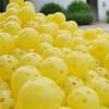 12 Peças Bolas de Treino de Golfe Vazadas para Interior Exterior para Homens Mulheres Crianças