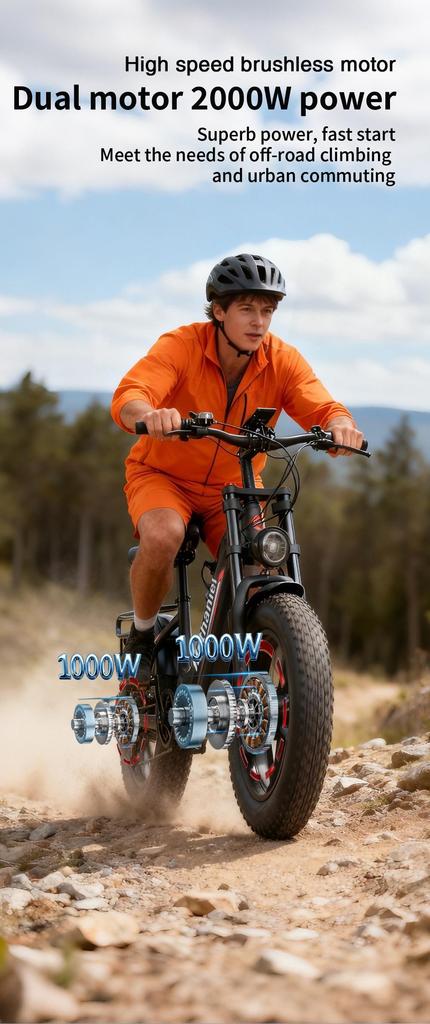 Nathaniel's New SYR08 Outdoor Electric Bike, Dual Motor 2000W, 20x4.0 Integrated Wheels, 48V20AH, Speed 50+, Snow/sand Outdoor Bike