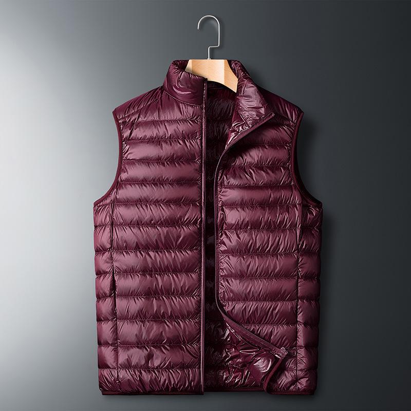 Men's Lightweight Short Down Jacket: Winter Hooded Outerwear with Stand Collar