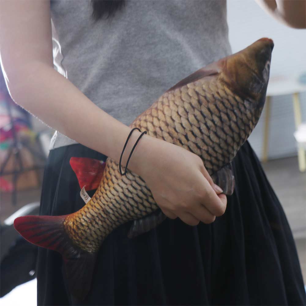Mossambica Cartoon Fish Stuffed Doll Tilapia Fish Anime Pillow Dolls Home Decoration