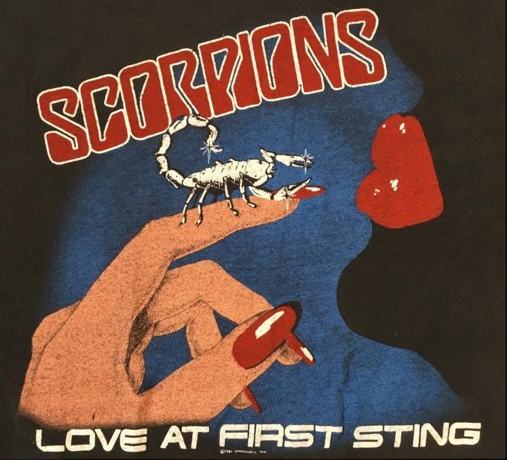 Винтажная футболка Scorpions Rock Me Like A Hurricane Черная Мужская Все Размеры E631 Унисекс Футболка M
