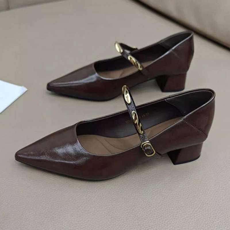 French brown pointed thick heel single shoes women's spring and autumn new retro metal one-word with light mouth Mary Jane shoes