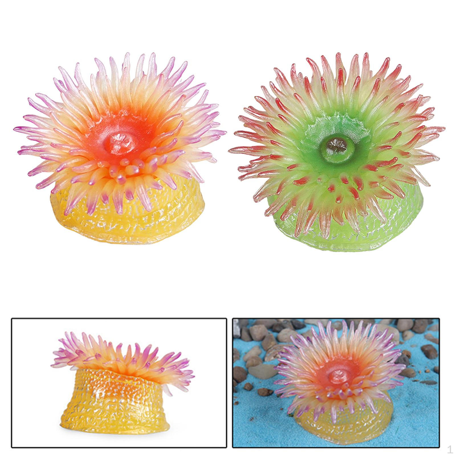 

2 шт. Модель морского анемона, животное, развивающие игрушки