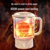 Portable Folding Electric Kettle: Compact 304 Stainless Steel Water Heater for Travel