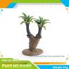 Coleção de Modelos de Plantas Realistas Com Material de PVC Para Decoração de Casa e Design de Terrário