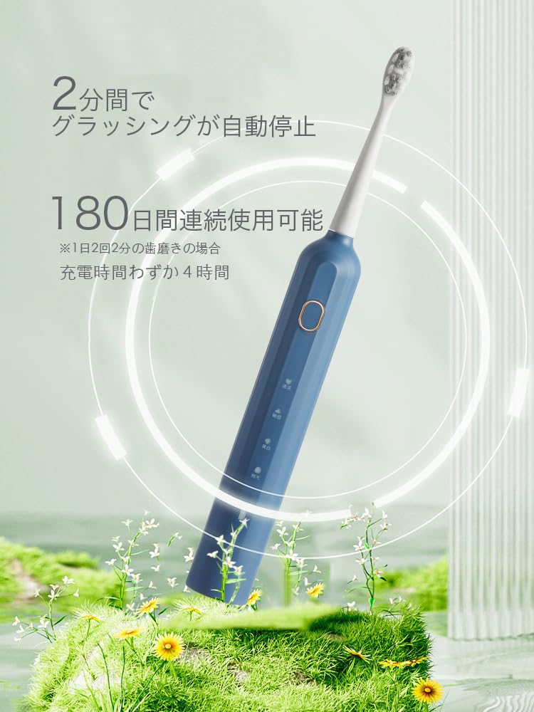 Electric Toothbrush, Sonic, Rechargeable, Beginner-Friendly, 2 Replacement Brush Heads, IPX7 Waterproof, Soft, Whitening, Interdental Cleaning,
