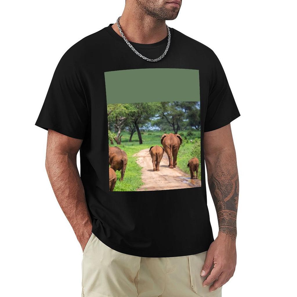 Tanzania Tarangire National Park Elephants TShirt Basic Solid Color Casual Tee Shirt