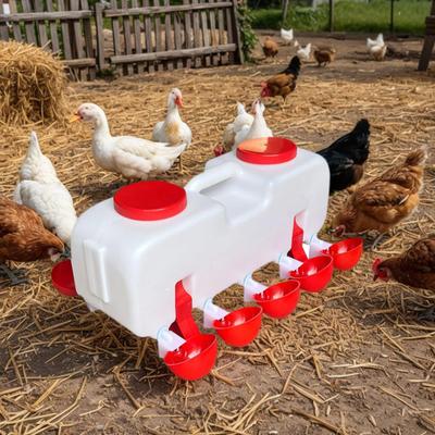 10KG Selbstbefüllende Automatische Hühnertränke mit 10 Tassen Geflügelspender Tränke für Küken Entenküken Tauben und anderes Geflügel
