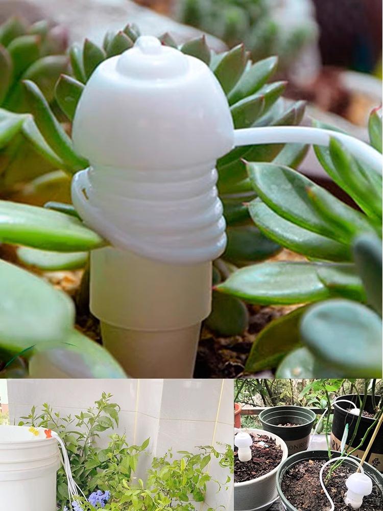 2/6/10 Pcs Automatic Plant Waterer Adjustable Siphon Drip Irrigation Device for Travel Garden Potted Plants Vegetables