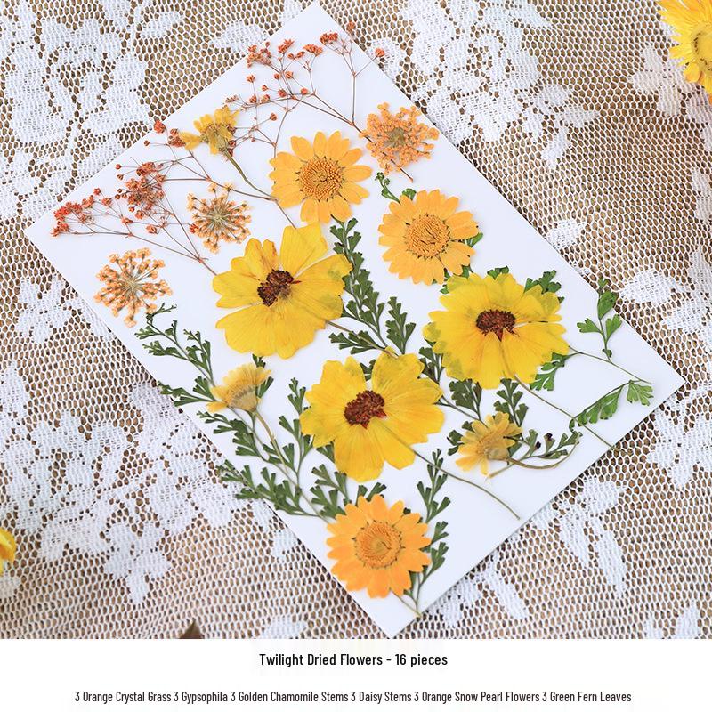Nordic Simple Acrylic Photo Frame - 6-7 Inch DIY Dried Flower Pressed Specimen