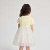 Deesha Girls' Cute Rabbit Ear Mesh Dress