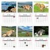 2026 Funny Cat Calendar Gag Gift Family Planner NEW Cat Butt Calendar  Office