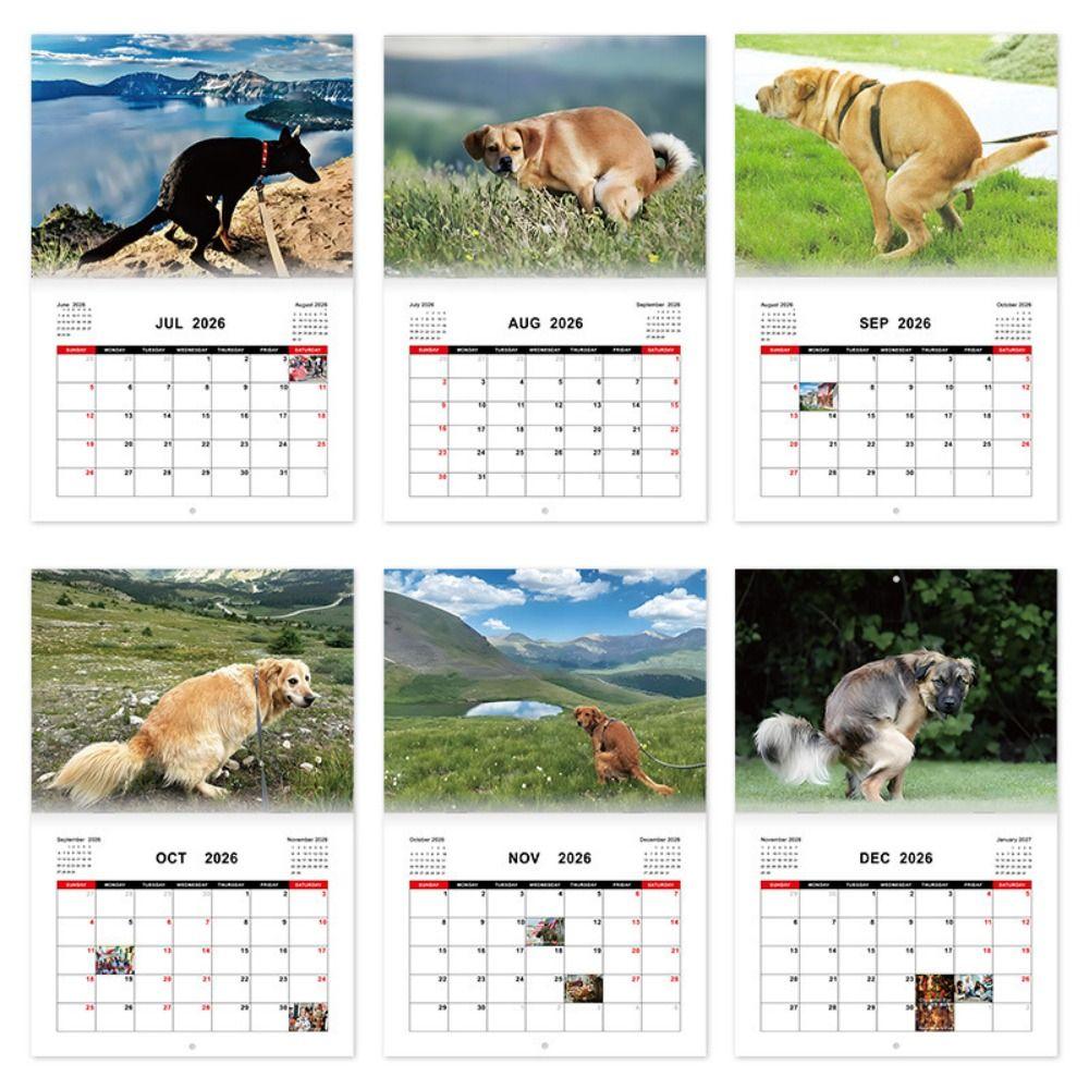 2026 Funny Cat Calendar Gag Gift Family Planner NEW Cat Butt Calendar  Office