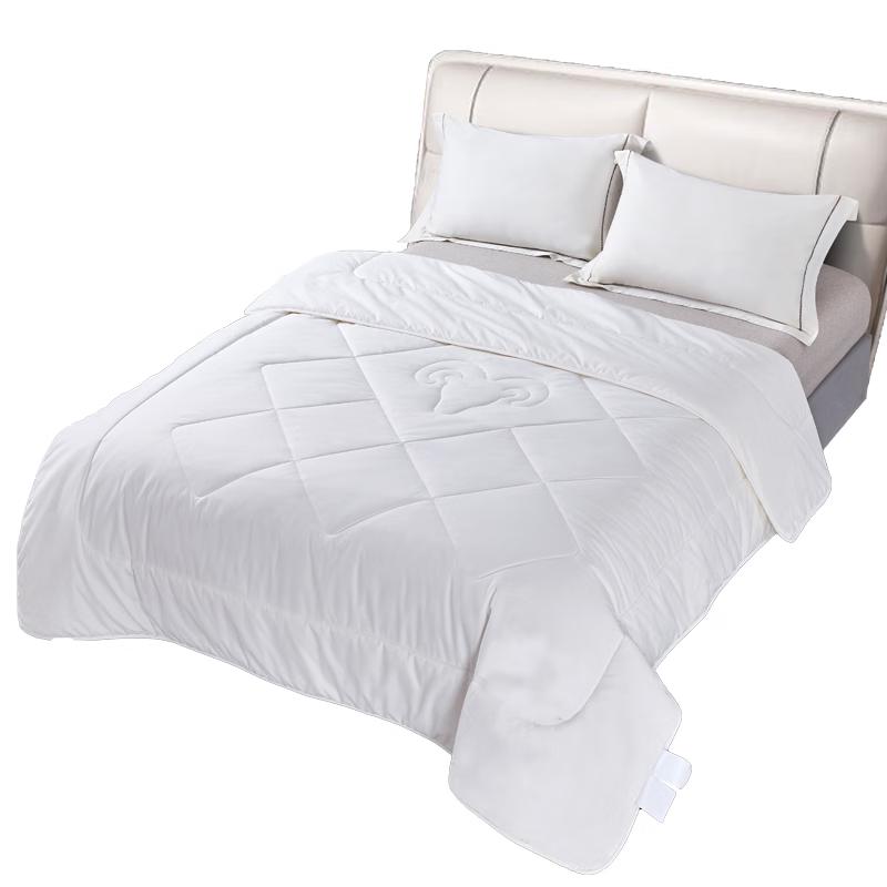 

TRIPCODE All-Season Polyester Blend Quilt