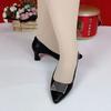 2025 New Spring Shallow Mouth Flat Sole Shoes Women's Fashion Versatile Spring and Autumn Thick Heel High Heel Single Shoes