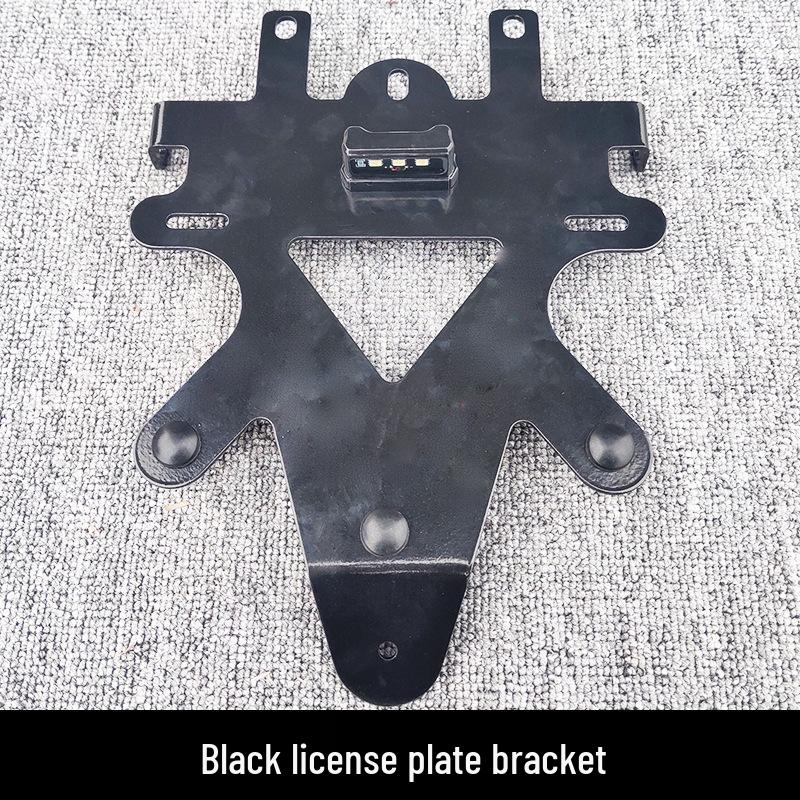 Retro Rear Backrest & Anti-Fall Guard for Qianjiang Flash 300S Motorcycle