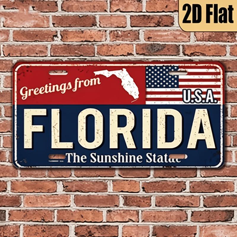 D Flat D Flat pc Vintage License Plate Cover and Frame from Florida Measuring X cm Designed as Wall Decor with