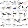 50 Seagull Stickers: Cute Q Version Small Birds & Animals for Journals, Laptops & Decoration
