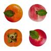 6pcs Orange Simulated Fruit Greeting Cards Peach Paper Peel Fruit Cards Best Wish Persimmon Holiday Blessings Cards