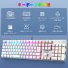 [Japanese layout] e-element mechanical gaming keyboard Adopts red axis and blue axis Full size 109 keys Type-C USB wired connection All keys anti-coll