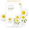Nature Republic Feuille de masque Real Nature (10 feuilles)