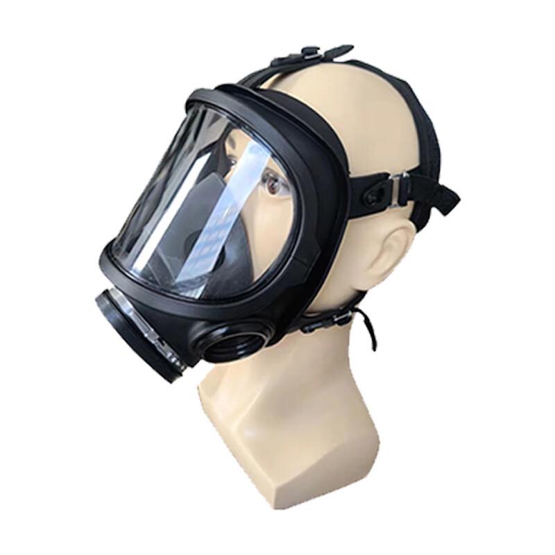 Longchan MF15A Full Face Gas Mask with Filter