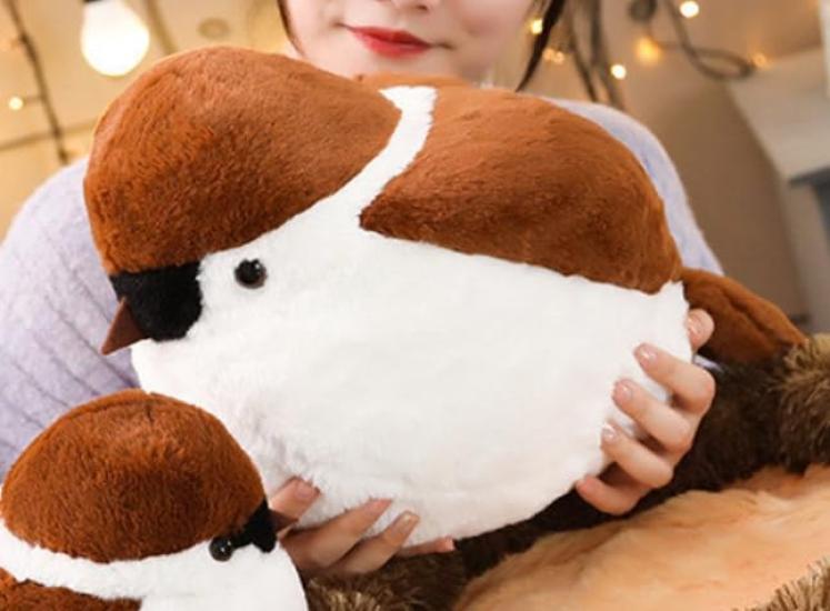 

Sparrow Cushion, Hugging Pillow, Plush Toy, Cute, Realistic, Large, Adorable Animal Bird, Nap Pillow, Event, Gift, Cute Sparrow 4231