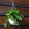40cm Hanging Basket Chain With 3 Hooks Bonsai Hydroponic Plants Plant Grow Basin Home Garden Decor Flower Plant Pot Hanger Chain