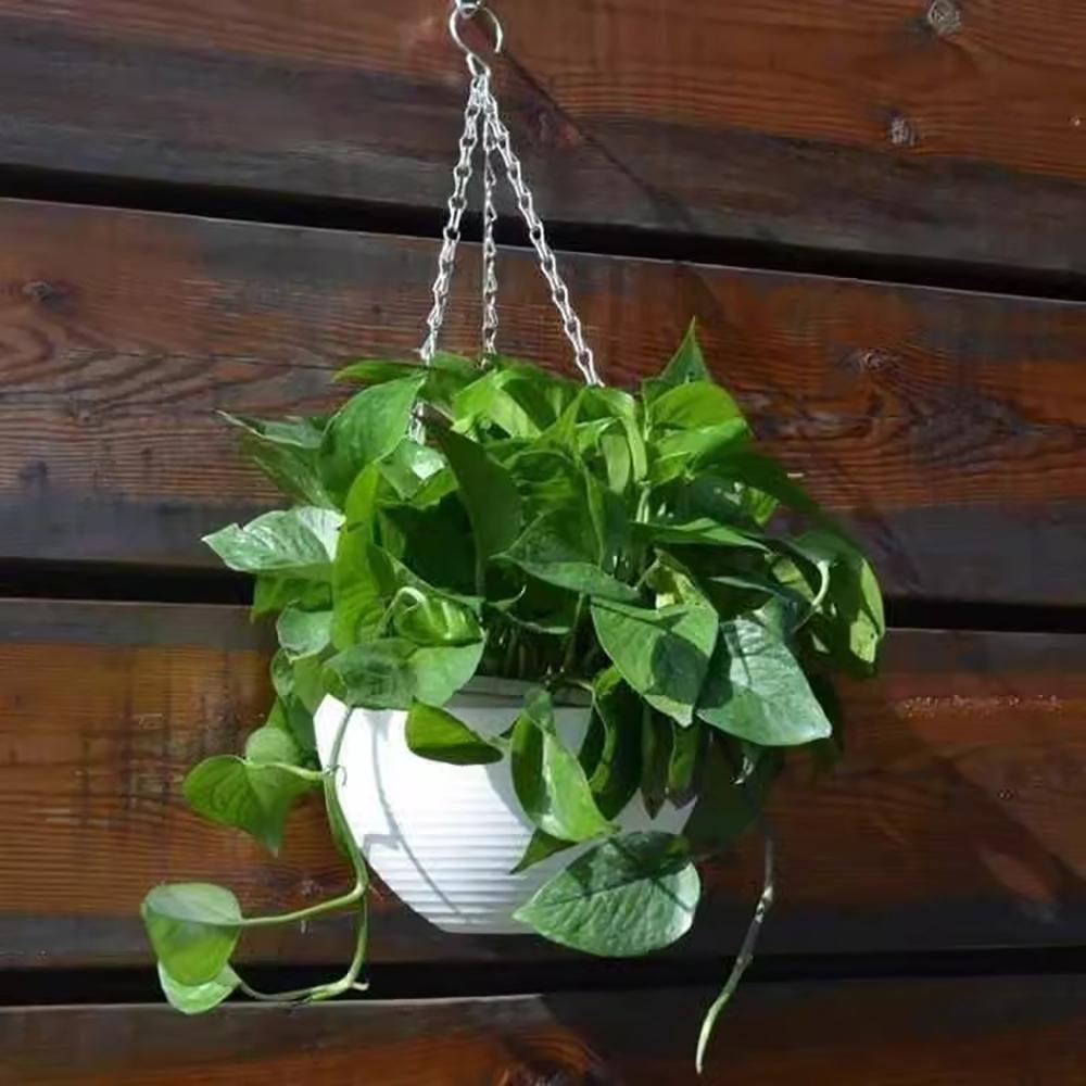 40cm Hanging Basket Chain With 3 Hooks Bonsai Hydroponic Plants Plant Grow Basin Home Garden Decor Flower Plant Pot Hanger Chain