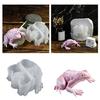 Unique Frog Ornaments Mold Silicone Molds for Handmade Frog Shape Art and Crafts