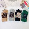 Driving Keep Warm Windproof Leopard Outdoor Female Gloves  Gloves Velvet Thick Mittens