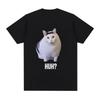 Cat Saying Huh Funny Meme T-shirt Women Breathable Short Sleeve T Shirts Fashion Harajuku Tee Shirt