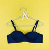 South East Asia Glossy Underwear Women's Small Breasts Gathered with Steel Rim Top Support Versatile Sexy Pure Desire Bra