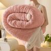 Thickened Double Layer Milk Velvet Lamb Velvet Blanket Office Nap Blanket Student Dormitory Shoulder Wrap Woolen Blanket