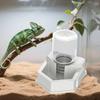Automatische Reptilien-Trinkschale, Dekoration, Einfach zu bedienender Wasserspender, Schlangen-Futterzubehör.