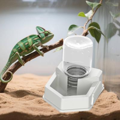 Rettili – Terrari per rettili