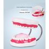 Giant 6X Dental Teaching Model