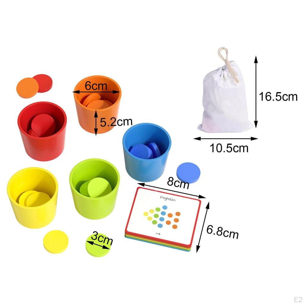 Color Sorting Educational Toy Logical Thinking Learning Activity Sorter for 3+ Year Old