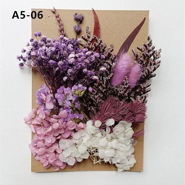 Exquisite Eternal Dry Flower Ancient Style Group Fan Material Pack for Children's Handmade Exclusive Decoration Dried Flowers