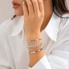 Metal Snake Bone Chain Glossy Bracelet Women's Ins Wind Metal Coarse Chain Bracelet Set