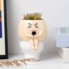 Funny Flower Planter Cartoon Plant Growing Container Succulent Flowerpot  Succulent Planting