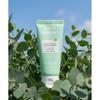Dirty Laundry [whitening   Anti Wrinkle] Hand Cream Eucalyptus 50g Forest Fragrance Functional Hand Cream