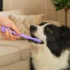 New Oral Care Tools Double Head Dog Toothbrush Teeth Care Pet Teeth Cleaning Brush Cat Toothbrushes Dog