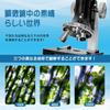 Microscope for Children, Elementary School Students, 100-1200x Magnification, Biological Microscope for Beginners, with Japanese Instructions. Educati